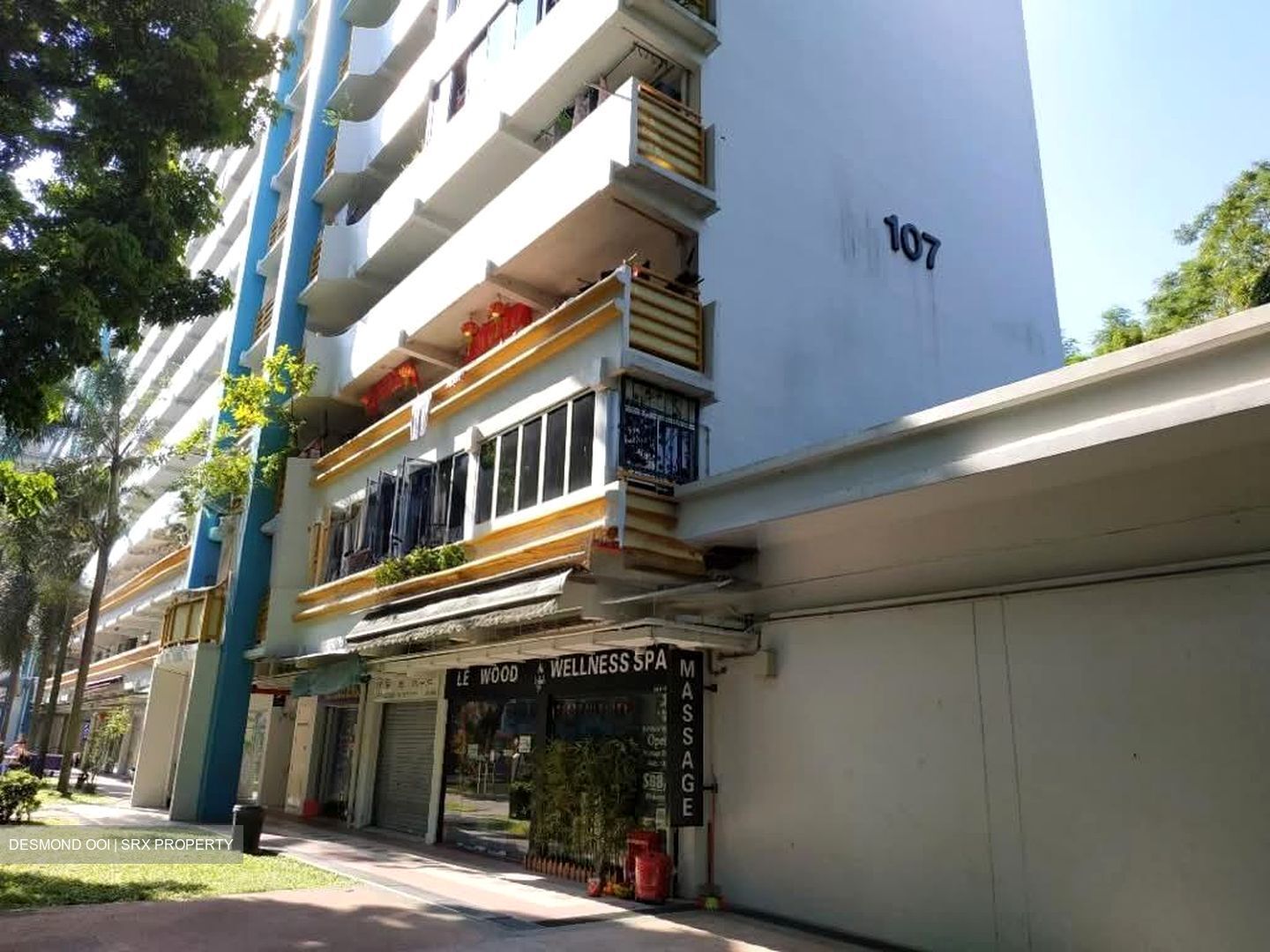 Tiong Bahru Orchid (D3), Shop House #598592071